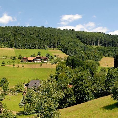 Riehle Hof Apartment Zell am Harmersbach Ngoại thất bức ảnh