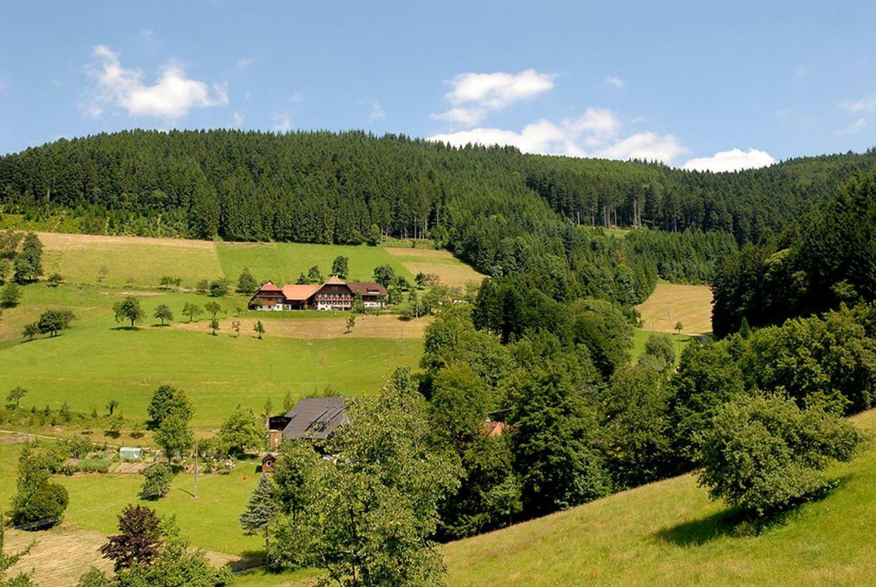 Riehle Hof Apartment Zell am Harmersbach Ngoại thất bức ảnh