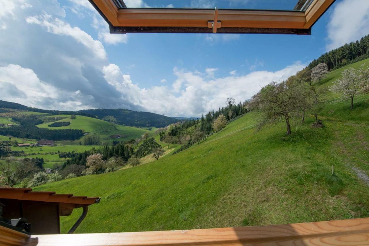 Riehle Hof Apartment Zell am Harmersbach Ngoại thất bức ảnh