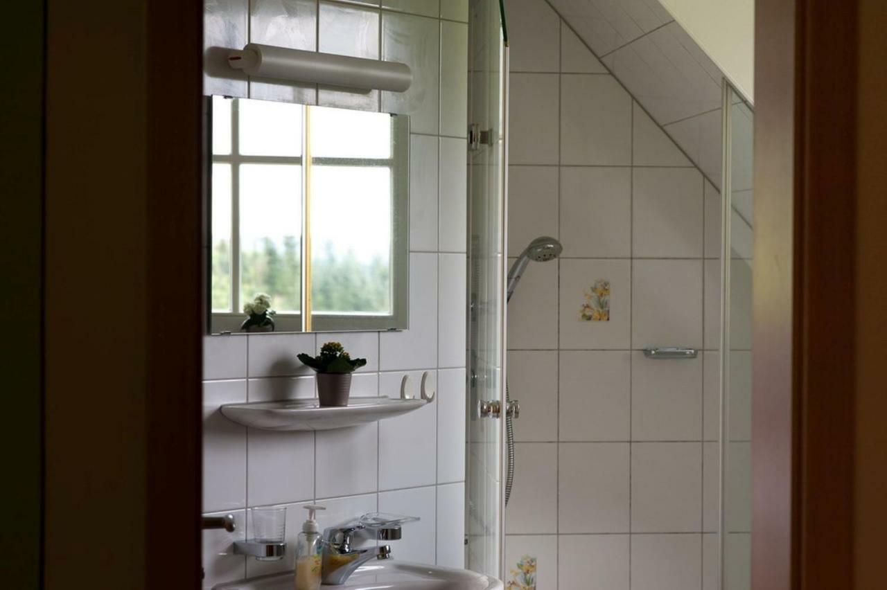 Riehle Hof Apartment Zell am Harmersbach Ngoại thất bức ảnh
