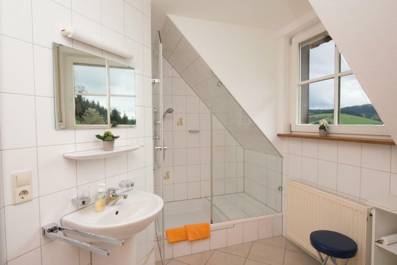 Riehle Hof Apartment Zell am Harmersbach Ngoại thất bức ảnh