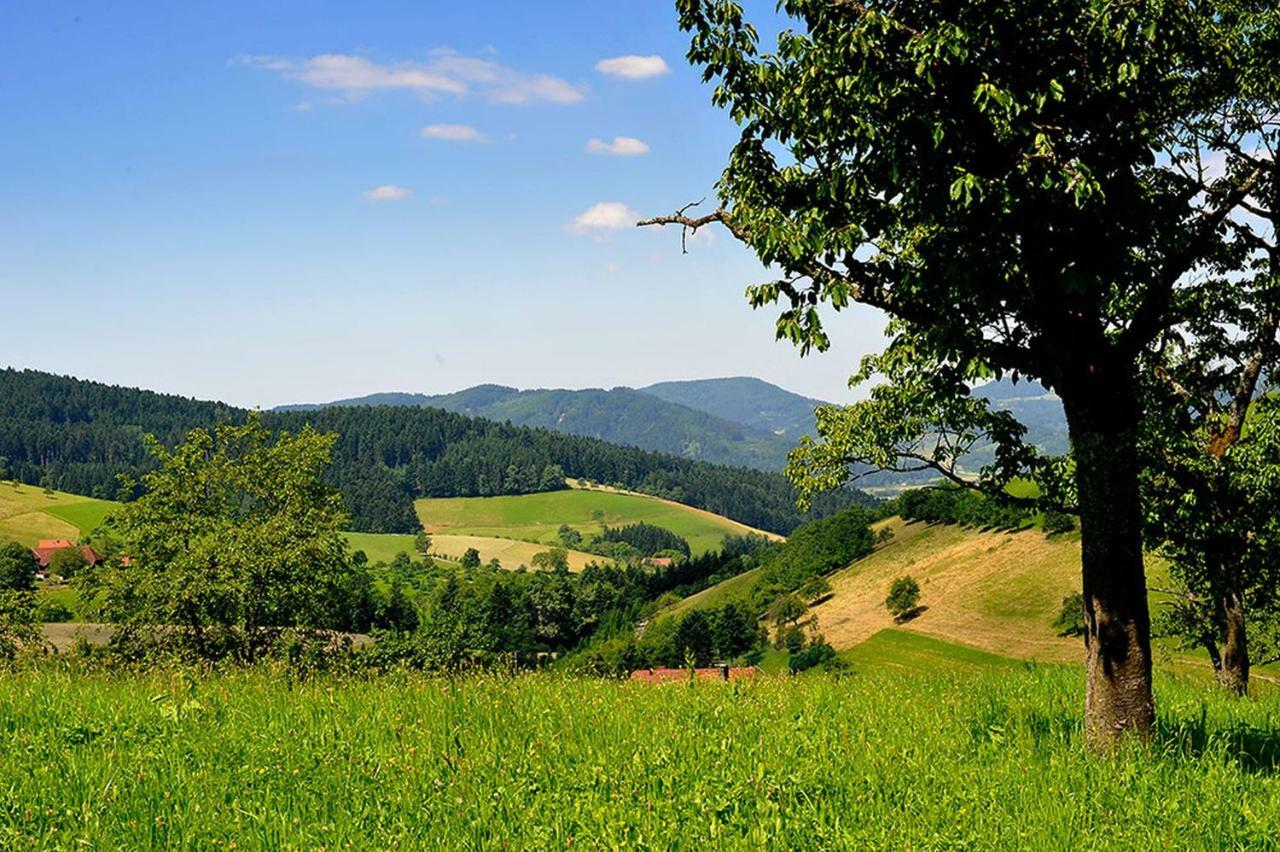 Riehle Hof Apartment Zell am Harmersbach Ngoại thất bức ảnh